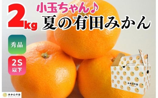 
小玉ちゃん ハウスみかん 温室栽培 夏の有田みかん 2kg 秀品 2Sサイズ以下 和歌山県 産地直送 みかんの会
