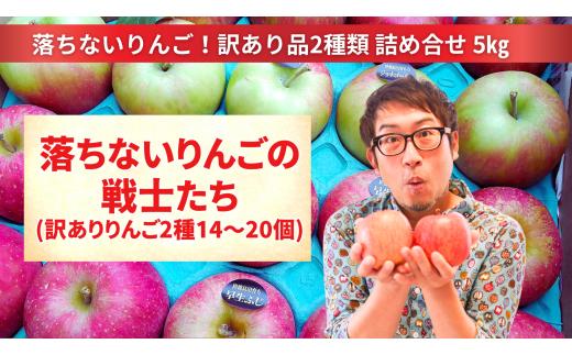 【訳あり品】 落ちないりんごの戦士たち 5kg 【 りんご 品種 おまかせ 2種類以上 旬 産地直送 岩手 陸前高田 】 RT2687