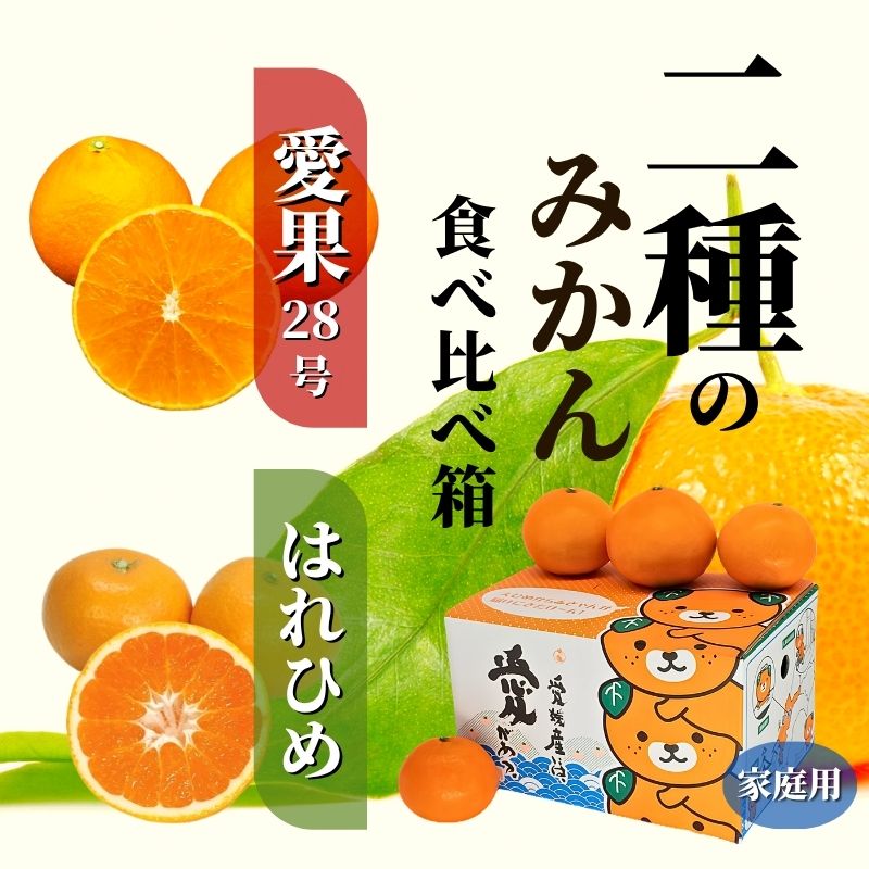 【ふるさと納税】 【2026年12月頃から順次発送】 二種のみかん食べ比べ箱 約1.5kg / 約2.8kg 【愛果28号・はれひめ】家庭用 | 食べくらべ 愛媛 みかん 詰め合わせ 蜜柑 柑橘 果物 くだもの フルーツ お取り寄せ グルメ 期間限定 数量限定 人気 おすすめ 愛媛県 松山市