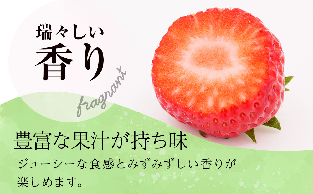 北海道産 完熟よつぼし苺(約250g×8パック)