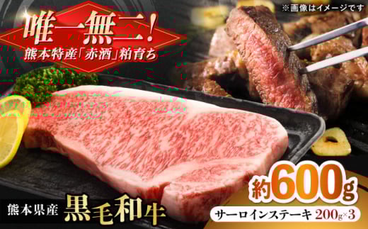 熊本県産 『原田畜産』 黒毛和牛 サーロイン ステーキ 計約600g（約200g×3枚） [AYCN050]