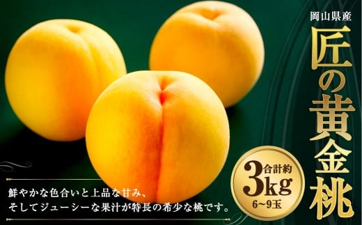 岡山県産 黄色い桃 匠の黄金桃 約3kg箱 6～9玉 【2026年8月下旬～9月下旬発送予定】 黄金桃 桃 もも モモ ピーチ 黄色 黄金 フルーツ 果物 果実 くだもの 国産 冷蔵 果汁 果肉
