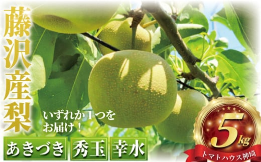 先行予約 2026年8月中旬より発送 梨 約 5kg 幸水 あきづき 秀玉 ナシ 新鮮 季節限定 フルーツ 果物 スイーツ くだもの なし 人気品種 ナシ 和梨 日本梨 赤梨 旬の梨  甘い 爽やか 旬 贈答用 ギフト お中元 プレゼント nasi 贅沢 お取り寄せ 産地直送 農家直送 数量限定 トマトハウス神埼 神奈川 湘南 藤沢