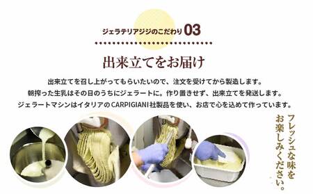 【味違いセット】ジェラテリアGigiのイタリアンジェラート 1000ml×2『ピスタチオ×生乳』【430145】