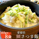 【ふるさと納税】＜愛媛県 鯛さつま飯（160g×8袋）＞※3ヶ月以内に順次発送予定です。 魚 海産物 郷土料理 たい 丼 野福 特産品 愛媛県 西予市 【冷凍】