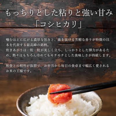 ふるさと納税 足利市 のりちゃん米 白米(コシヒカリ)1kg<栽培期間中 農薬・肥料不使用> |  | 01