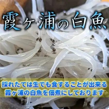 【甘辛がご飯に合う!】白魚くるみ(佃煮) 620g(155g×4パック)_魚介・海産物   _【1592045】