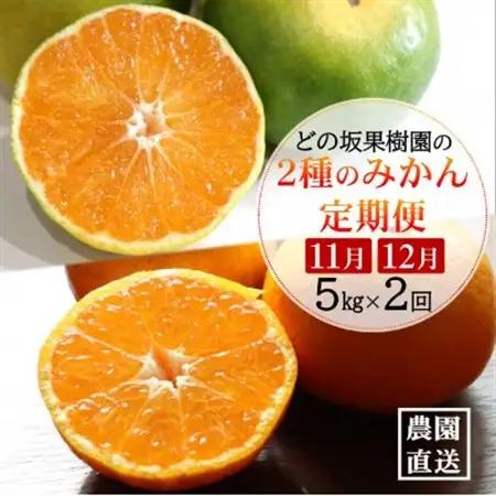【発送月固定定期便】みかん好きのためのみかん定期便(ゆら早生みかん・完熟みかん)　各5kg　全2回【配送不可地域：離島・北海道・沖縄県】【4052463】