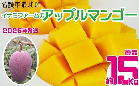 【2026年発送】名護市最北端イナミファームの　優品　アップルマンゴー 約1.5kg フルーツ 果物 期間限定 数量限定 マンゴー 南国 プレゼント お土産 おみやげ ギフト くだもの 季節 おきなわ 青果 デザート おすすめ 人気 冷蔵 夏 スイーツ