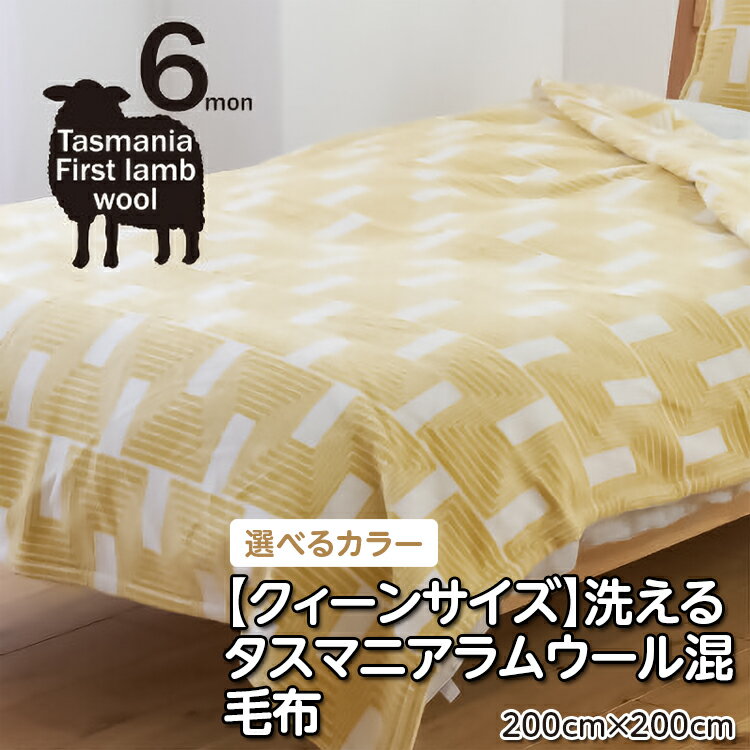 【ふるさと納税】【クィーンサイズ】洗えるタスマニアラムウール混毛布 200×200cm