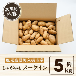 <先行予約受付中!2026年5月下旬以降順次発送予定>訳あり!じゃがいも「メークイン」(約5kg) じゃがいも ジャガイモ 芋 国産 野菜 期間限定 数量限定【古田果樹園】akn093-01