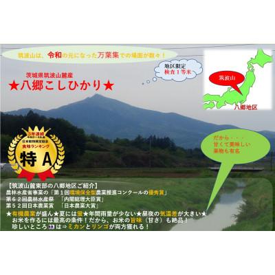 ふるさと納税 茨城県 【玄米20kg⇒精米済白米】筑波山麓厳選★検査1等米こしひかり【恋瀬姫の舞】令和7年産 |  | 01