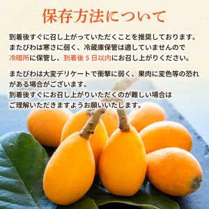 【 期間限定 】びわ 6 ~8個 4 パック 約 1.2kg びわ びわ びわ びわ YN007-2x