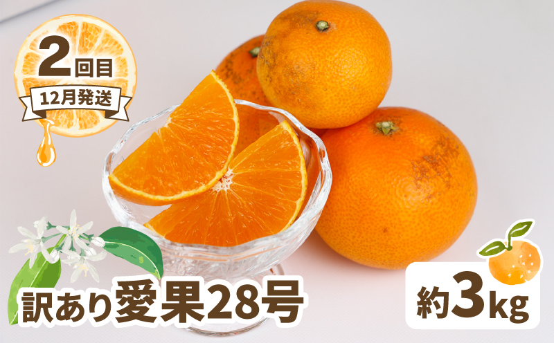 訳あり 人気柑橘 3回 定期便 マル南フルーツ 愛果28号 ( 紅まどんな と同品種) 宇和島みかん 蜜柑 mikan みかん あいか せとか 早生温州 定期便 果物 くだもの 愛媛県産 訳アリ 訳あ