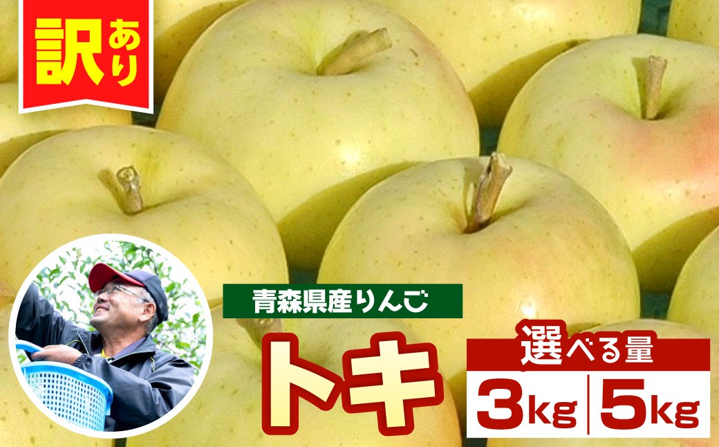 
                  【先行受付】【10月中旬以降順次発送】 りんご トキ  【訳あり】 青森県産 ≪ 3kg / 5kg 選べる重さ ≫ とき 農家直送 傷 キズ ワケアリ 林檎 リンゴ apple 黄色 青森県 五所川原市
                