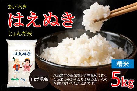 山形県産 おどろき はえぬき じょんだ米 5kg FY25-302