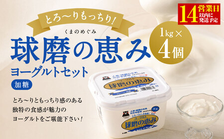 球磨の恵みヨーグルトセット(加糖1kg×4個)【14営業日以内発送予定】