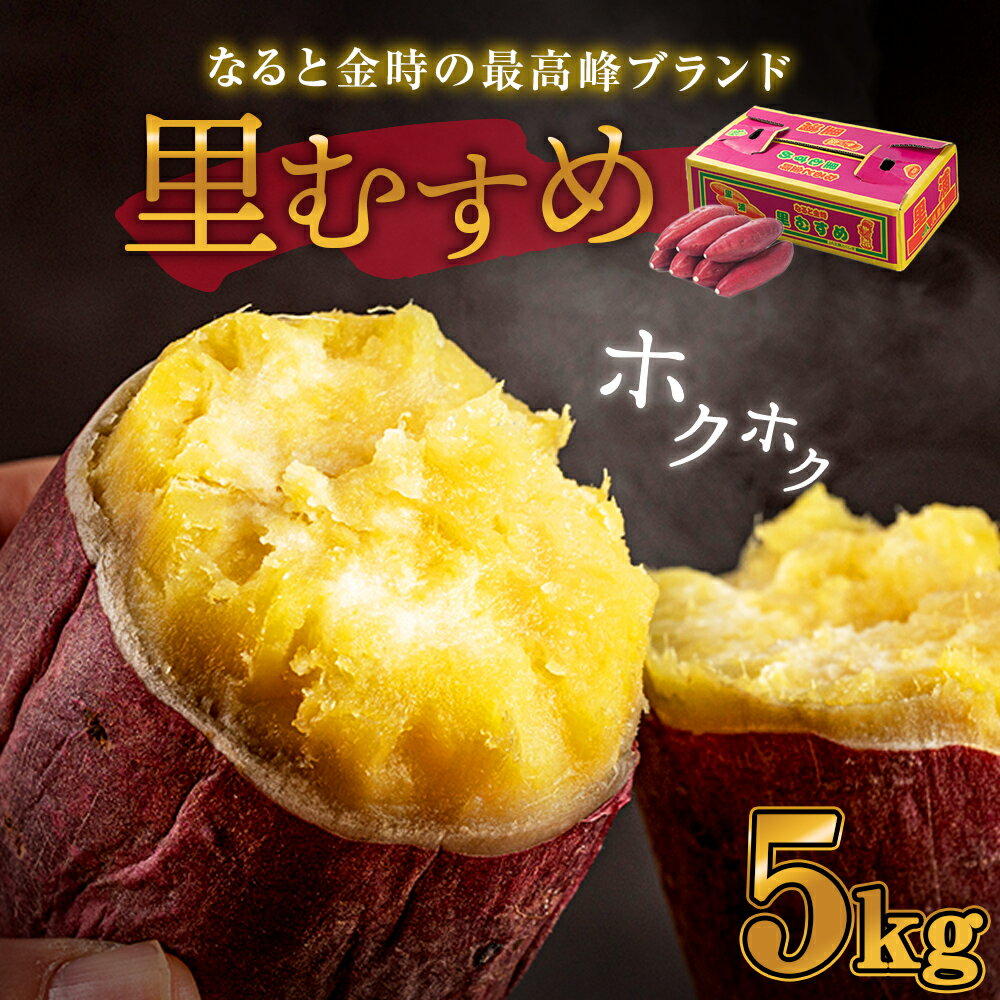 【ふるさと納税】 さつまいも なると金時 里むすめ 5kg（ 14 〜 20本 ）｜ 鳴門金時 ブランド ほくほく 甘い 熟成 国産 スイーツ 焼き芋 焼芋 焼いも おやつ 天ぷら 干し芋 ギフト 贈り物 お土産 おみやげ 産地直送 さつま芋 里娘