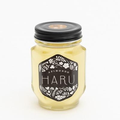 ふるさと納税 能登町 能登産天然はちみつ「HARU」アカシア　160g