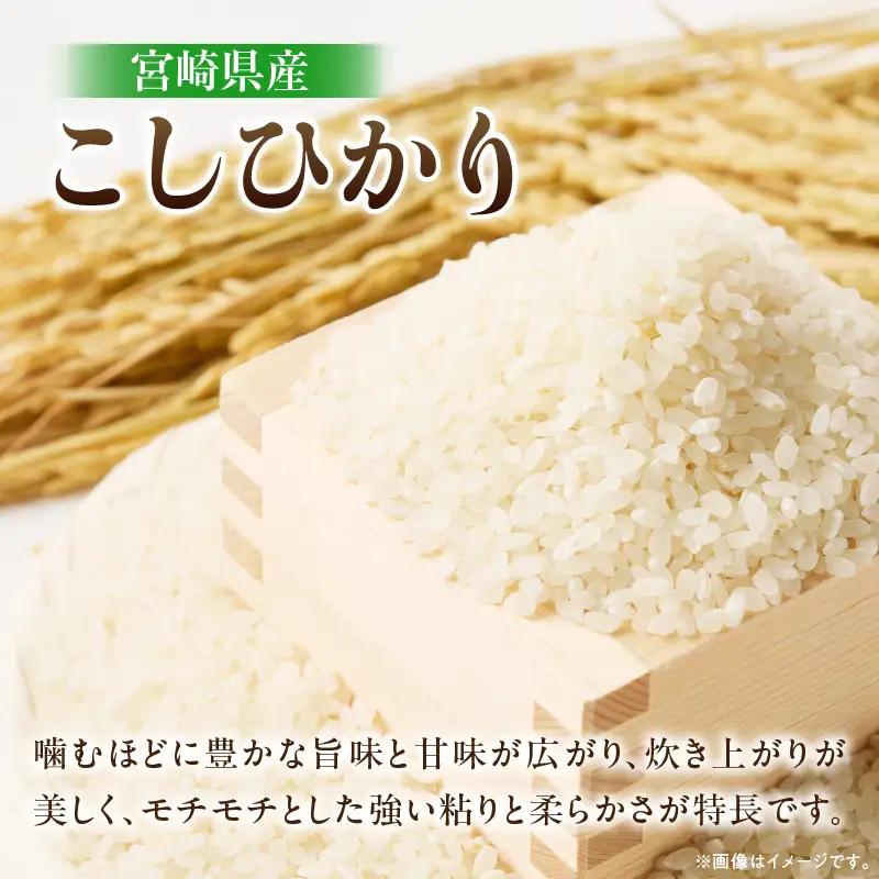 最短翌日発送 新米 コシヒカリ 令和8年産 5kg 2026年産 無洗米 日南市産_BC149-26