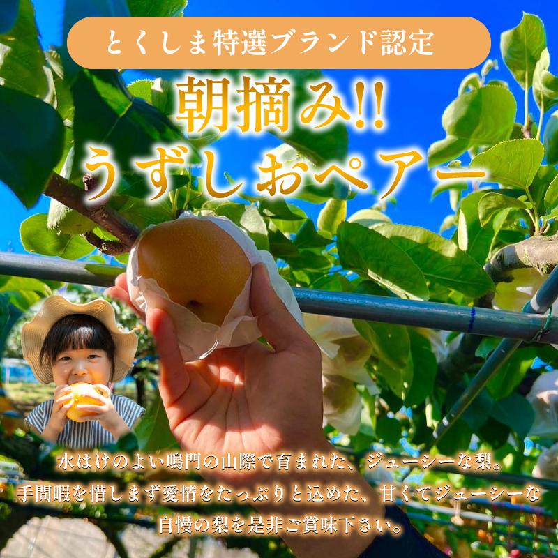 【2026年先行予約】梨 なし ご家庭用 2.5kg以上 5〜8玉 2026年 8月順次発送 うずしおペアー 果物 フルーツ デザート 旬 新鮮 季節 秋 人気 おすすめ ギフト プレゼント 贈答 贈