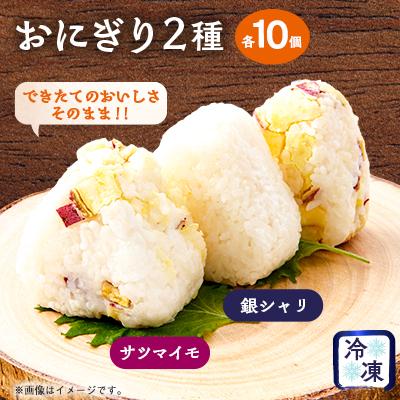 ふるさと納税 富田林市 できたてのおいしさそのまま!冷凍おにぎり20個セット(2種類×各10個)