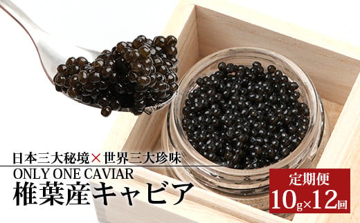 定期便 【桐箱入り】【12ヶ月お届け 合計120g(10g×12回)】HEIKE CAVIAR【世界三大珍味×日本三大秘境】［宮崎 椎葉 国産 定期便 チョウザメ キャビア 魚卵 卵 クリーミー お酒 魚介 珍味 加工品 冷凍 高級 贅沢 お取り寄せ お取り寄せグルメ ディナー パーティー おつまみ グルメ お祝い ギフト 記念日 誕生日 プレゼント 贈り物 贈答 桐箱 希少］【SZ-111】