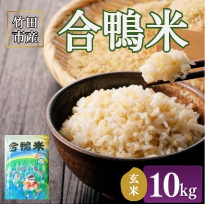 ふるさと納税 竹田市 竹田市産　合鴨米 玄米10kg