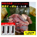 【ふるさと納税】神奈川県産すっぽん鍋(2～3人前)300g&スープ3本(各180g)セット【配送不可地域：離島】【1361073】