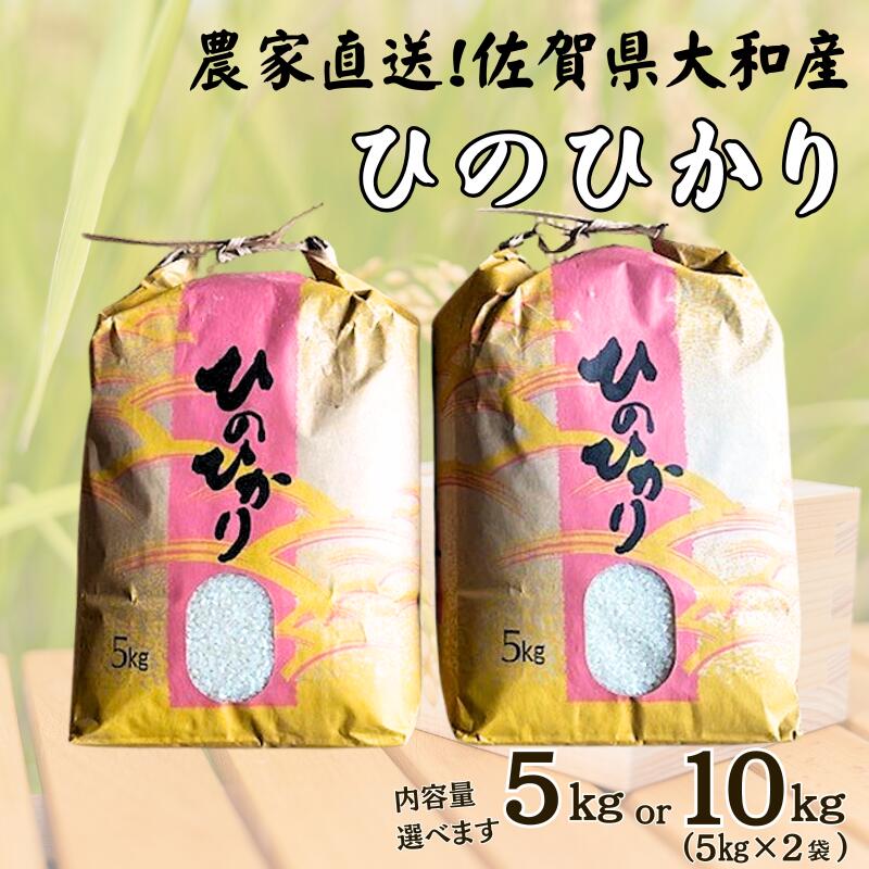 【ふるさと納税】佐賀県大和産「ひのひかり」選べる 5kg or 10kg（5kg×2袋） 米 農家直送 ひのひかり 白米：B320-018