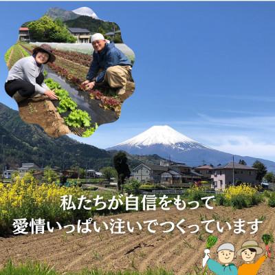 ふるさと納税 西桂町 【2ヵ月毎定期便】【訳あり】おやつ!!有機栽培で作ったこだわりポップコーン2袋(1袋100g)全3回 |  | 03
