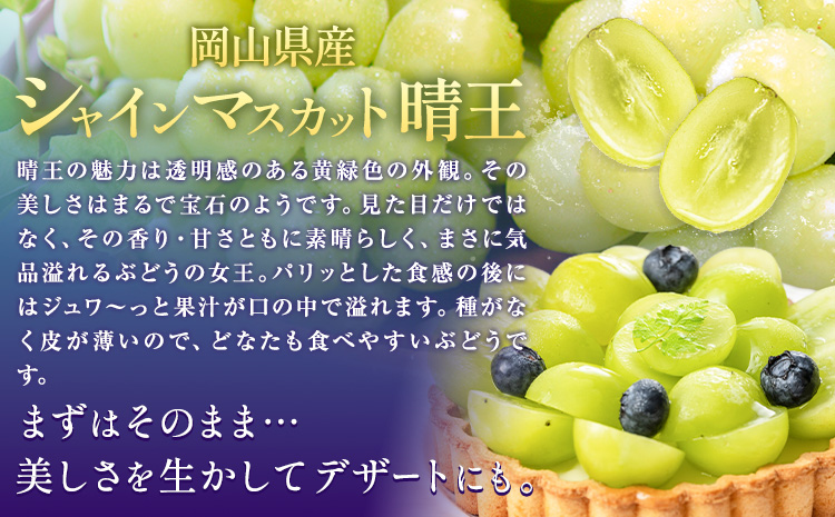 【先行予約】ぶどうシャインマスカット 約 600g 1房 株式会社藍《9月上旬-10月下旬頃出荷》 岡山県 浅口市 岡山県産 ぶどう フルーツ 果物 くだもの マスカット 送料無料【配送不可地域あり】