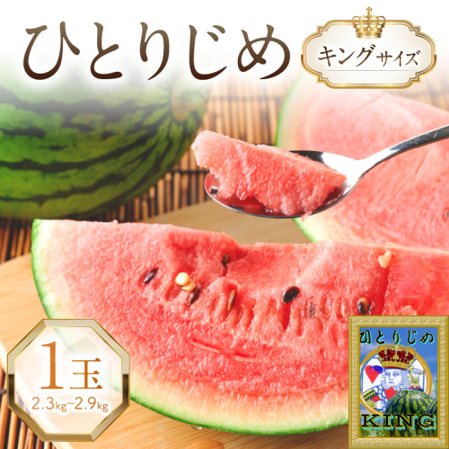やまの農園　「ひとりじめ」キングサイズ　1玉≪先行予約≫【2026年6月中旬より順次発送予定】