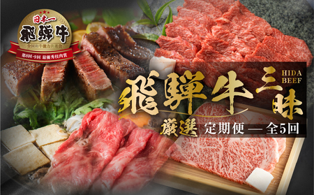 定期便 飛騨牛 三昧 肉 全5回 定期便 [S526]