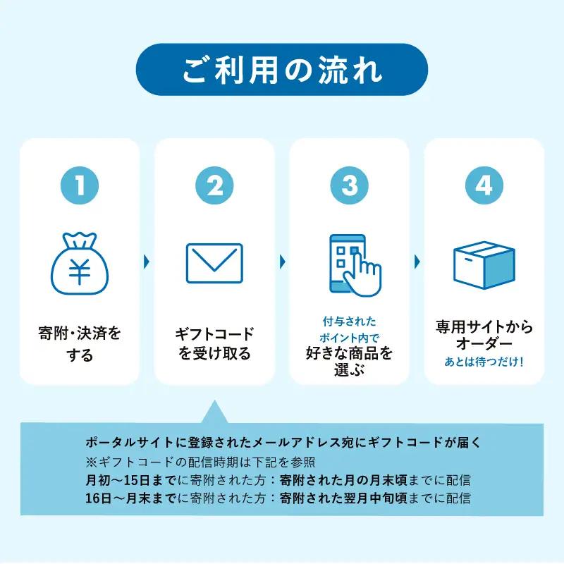 あとから選べるWEBカタログギフト（寄附100万円コース）300000ポイント宮古島市（JO005）