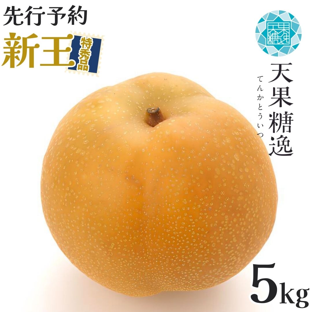 【ふるさと納税】先行予約 和梨 新王 特秀品 約5kg 糖度13度以上を厳選 令和8年度 新潟県産 天果糖逸 [JAえちご中越]【014S055】