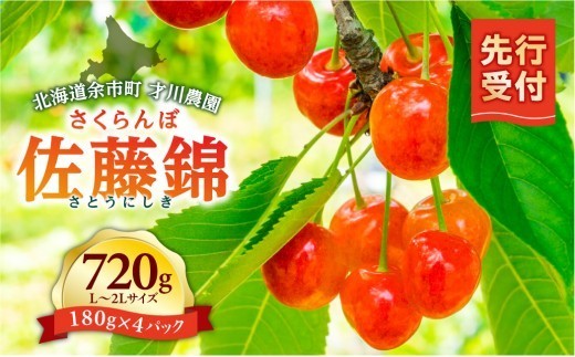 
                  【先行予約：2026年6月下旬以降発送】北海道余市産 佐藤錦 720g L～2Lサイズ 才川農園 さくらんぼの王様 完熟もぎたて 産地直送 寒暖差栽培 完熟 フルーツ ギフト 送料無料
                