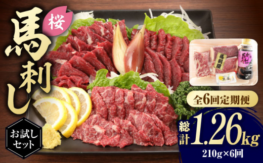 【全6回定期便】  「桜」 馬刺し お試しセット 約210g 国産 馬刺し 上霜降り 霜降り赤身 赤身 希少 特産品 国産 純国産 霜降り 上赤身 馬肉 桜肉 ヘルシー 専用タレ 小分け おろし生姜 低カロリー 高タンパク 冷凍 ギフト 贈答用 食べ比べ おすすめ 熊本 山鹿市【有限会社 九州食肉産業】[ZDQ006]