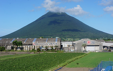 ＜高島屋選定品＞指宿マンゴージェラート12個セット(6個×2箱)(TK-239)59D1964