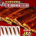 【ふるさと納税】温泉うなぎ蒲焼 5尾（130gサイズ） 国産うなぎ 人気 国産 蒲焼 蒲焼き かば焼き 鰻屋 個包装 冷凍 真空 ＜104-006_5＞