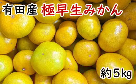 有田産極早生みかん約5kg（サイズ混合）※2025年10月中旬～2025年11月上旬頃発送予定（お届け日指定不可） / 果物 くだもの フルーツ 蜜柑 みかん 【tec929A】