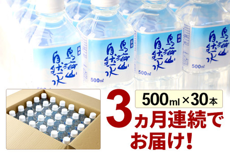 鳥海山自然水(500ml)30本×3か月連続 計90本