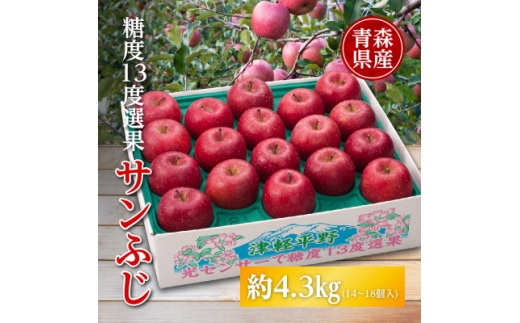 りんご/青森県産　糖度13度選果 サンふじ 約4.3kg【1655307】