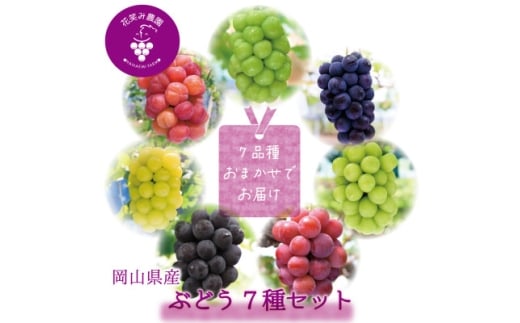 ＜2026年先行受付＞岡山　花笑み農園のブドウ『食べ比べ7種セット』7M-5_ぶどう 葡萄 ブドウ 岡山県産 果物 くだもの フルーツ ギフト 食べ比べ セット 7種 岡山県 津山市 産地直送 送料無料【1596445】