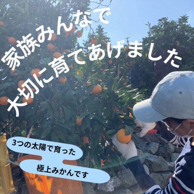 愛媛県八幡浜産 極甘みかん小玉　5kg【D96-5】【1670780】