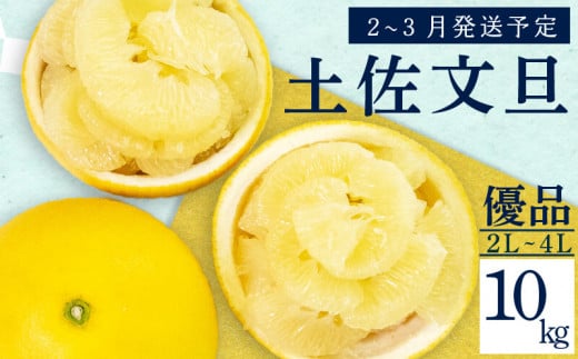 【2月上旬から発送】 文旦 高知 10kg 優品 2L ～ 4L 浦ノ内特産 早期予約 予約受付中 期間限定 季節限定 限定 旬 みかん ミカン ぶんたん 高知県 土佐文旦 柑橘 贈答 お土産 KN002-x