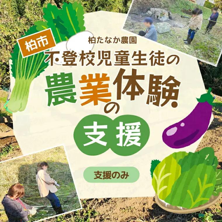 不登校児童生徒の農業体験の支援 （支援のみ） 〈 サポート 学び 食育 収穫体験 農業体験 体験 収穫 野菜 子供 親子 農作物 ふるさと納税 柏 〉