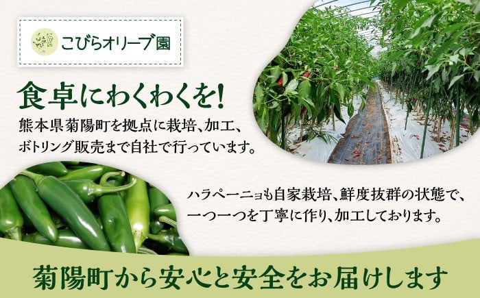 ハラペーニョ 万能だれセット はらぺーにょ タレ セット 完熟 青唐辛子 万能 白ワインビネガー オリーブオイル 熊本 菊陽町