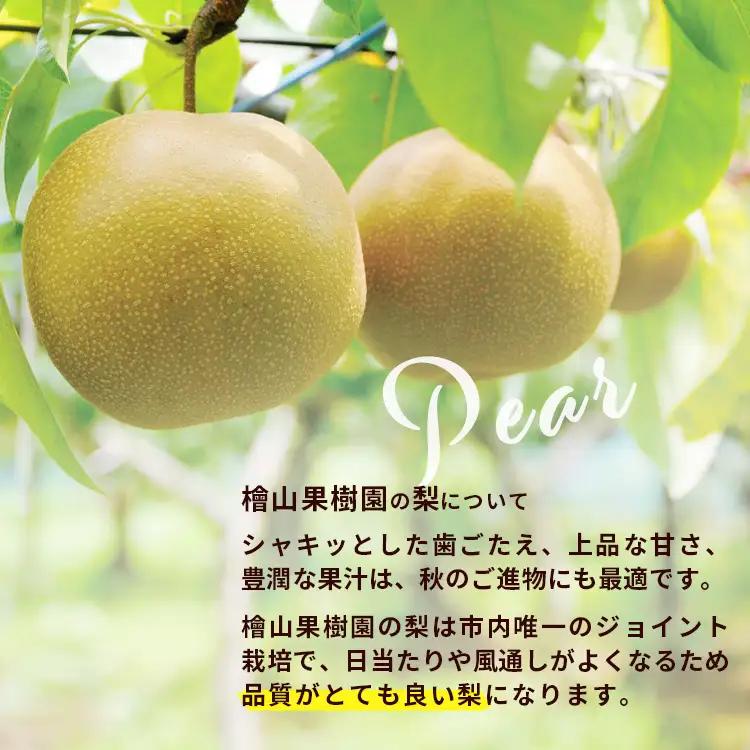 梨 食べ比べ 約5kg 3種類 梨