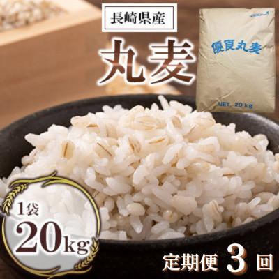 ふるさと納税 諫早市 【3ヵ月毎定期便】丸麦(長崎県産)20kg×1袋全3回